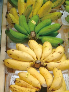 shima banana